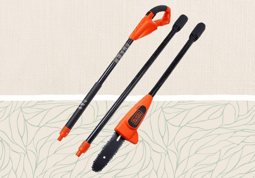 The 6 Best Pole Saws Our Editors Recommend