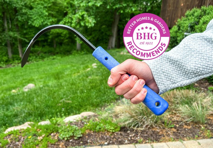 The 6 Best Weeding Tools, Tested by BHG