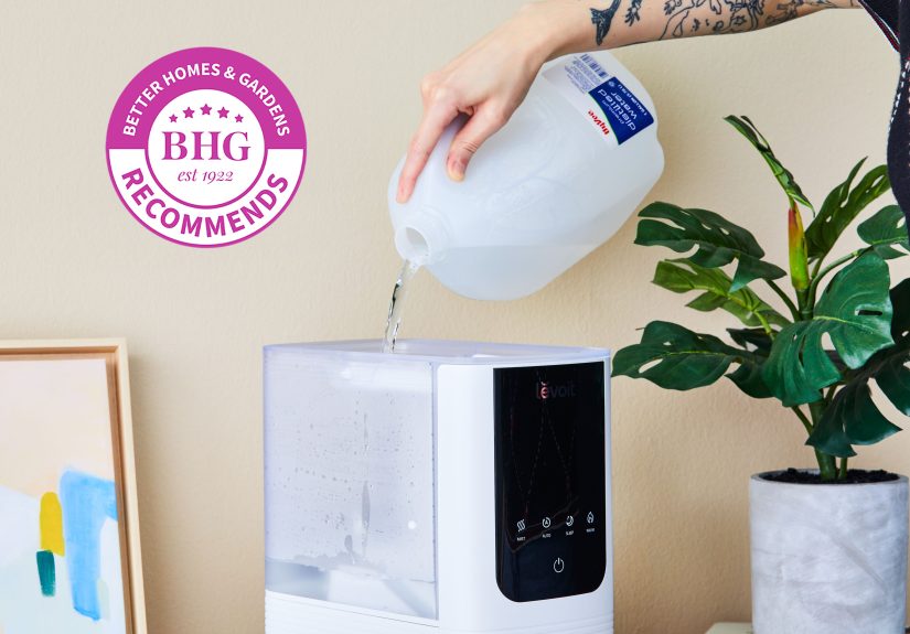 The Best Humidifier for Plants, Tested by BHG