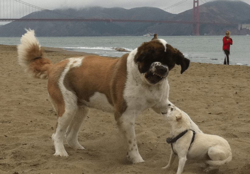 The Best Way To Fix Your Credit Score: Fight Back Online!