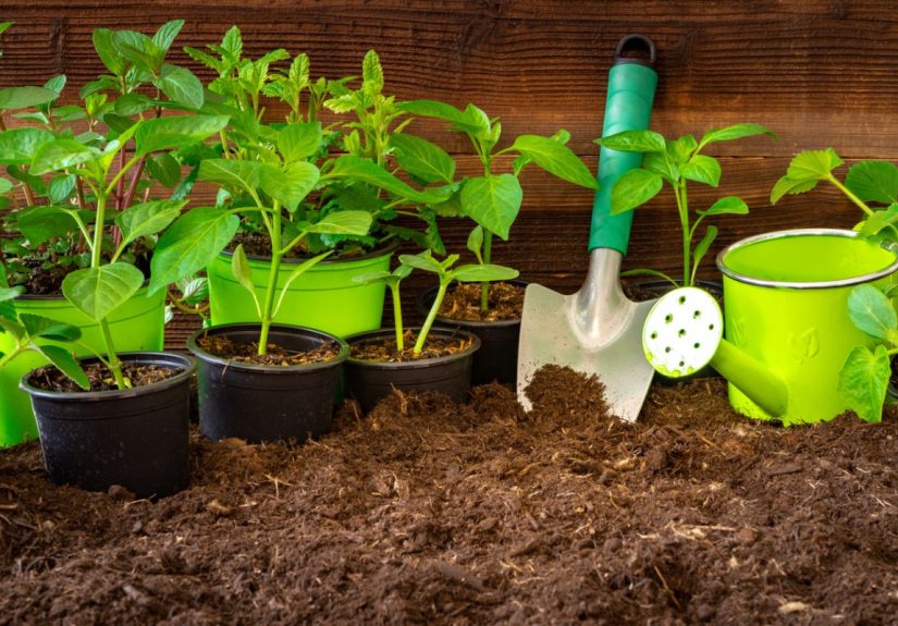 The Dos and Don’ts of DIY Potting Soil