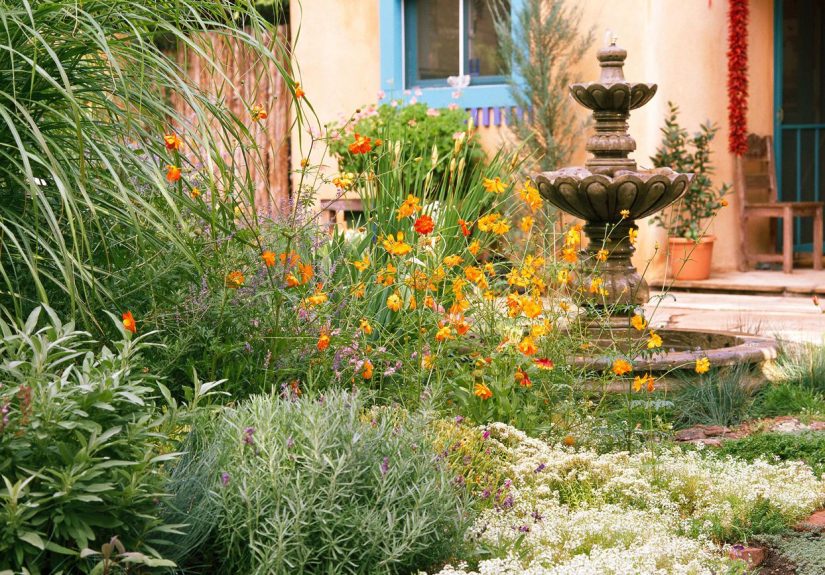 This Drought-Tolerant Garden Plan Saves Water and Time