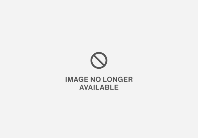 Upvotes, Downvotes, and the Science of the Reddit Hivemind