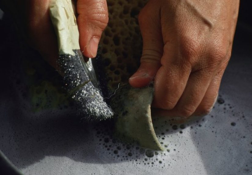 What Chemicals Can Be Used to Kill Black Mold?