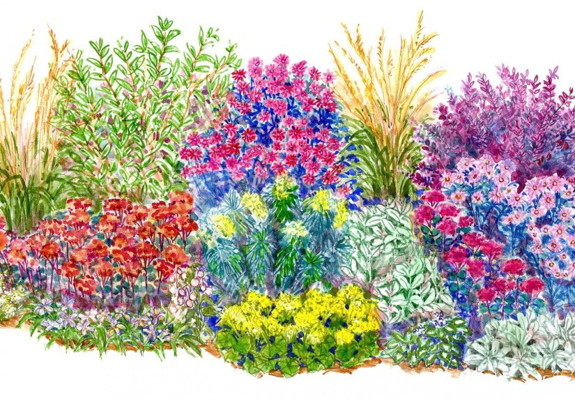 15 No-Fuss Garden Plans Filled with Plants That Thrive in Full Sun