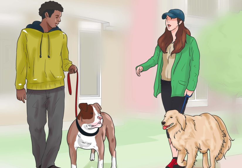 3 Ways to Hold a Dog's Leash
