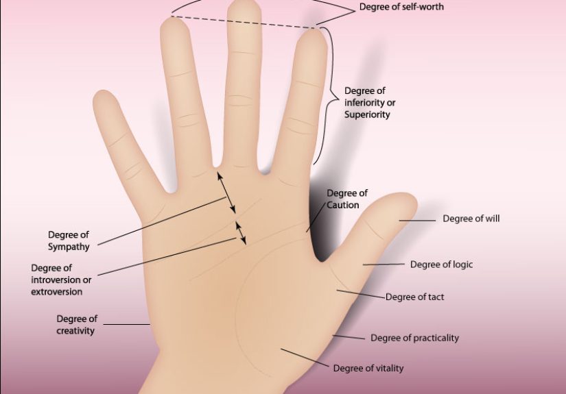 3 Ways to Read Palms (Advanced)
