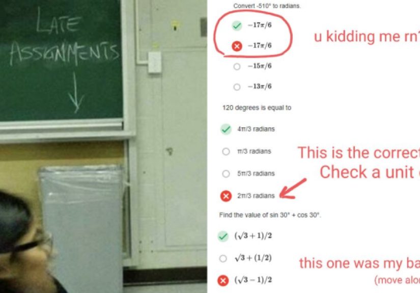 30 Posts From People Dealing With The Most Unhinged College Professors