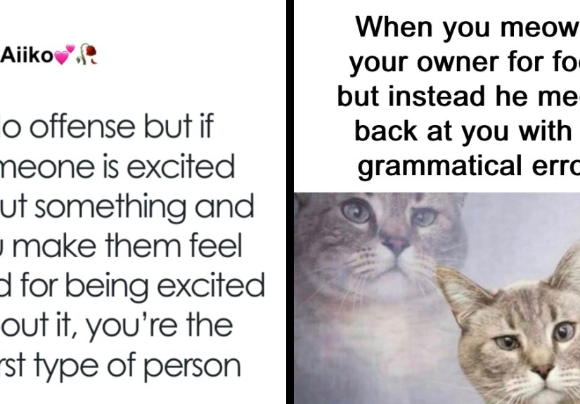 80 “Sky Babe Memes” Posts That Are Way Too Relatable For Anyone Just Trying To Get Through Life