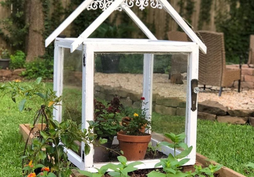 9 DIY Mini Greenhouse Ideas