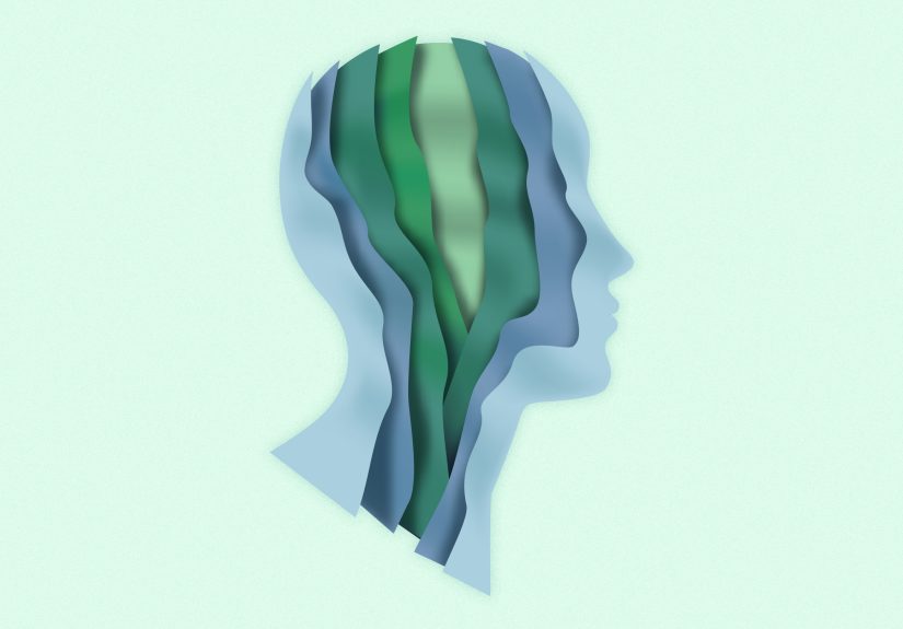 A Professional Development Protocol for Schools