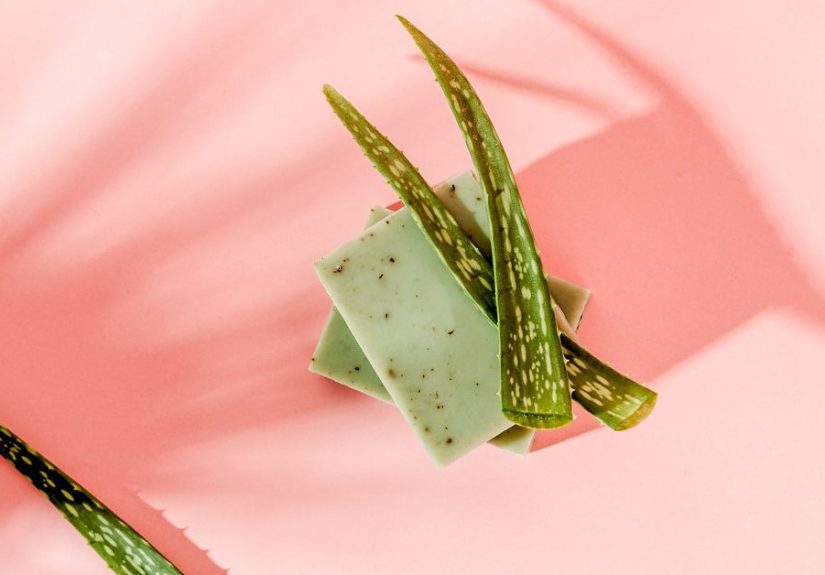 Aloe Vera for Acne Scars: Types to Use and How to Apply