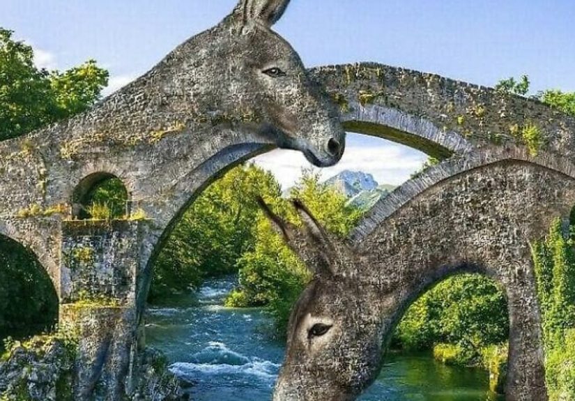 Animals Beyond Fairytale: I Make Bizarre Image Manipulations (21 Pics)