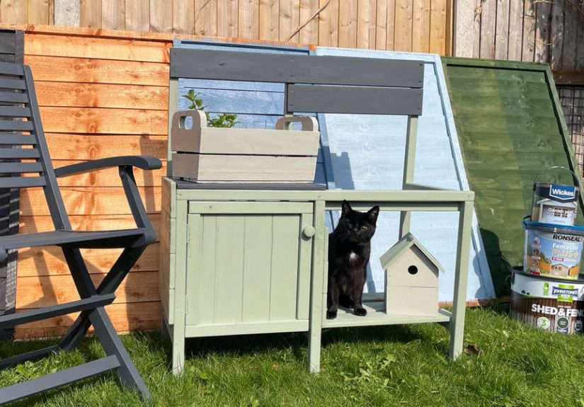 Best exterior paints to transform a rundown garden in a weekend