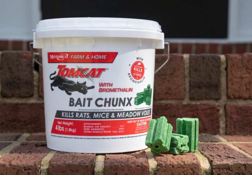 Best Rat Poisons (2025)