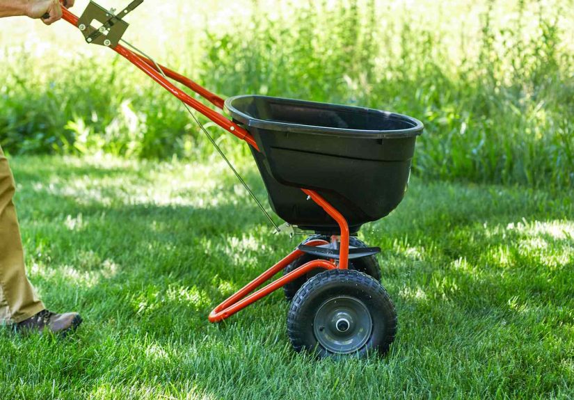 Can You Fertilize and Overseed at the Same Time? Why It Could Backfire