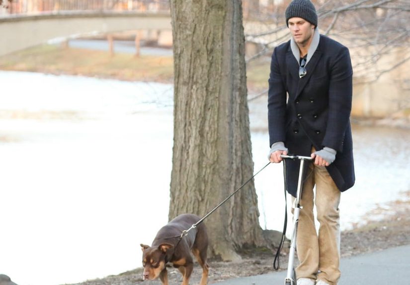 Cloning Your Pets Is Going Mainstream. Is That a Good Idea?