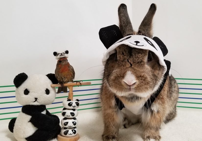 Dot And Sticky’s Daily Photos