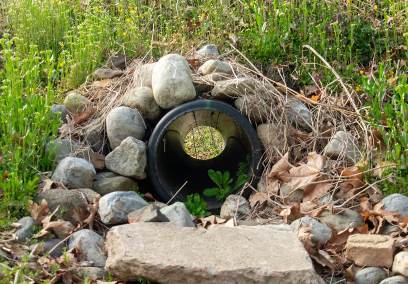 French Drain Cost: What to Know and How Much You'll Pay