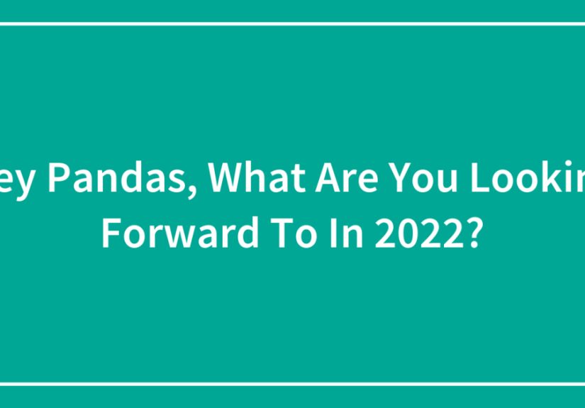 Hey Pandas, What Are You Looking Forward To In 2022?