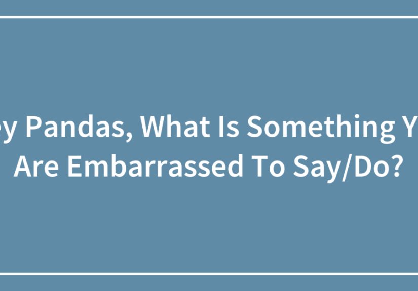 Hey Pandas, What Is Something You Are Embarrassed To Say/Do?