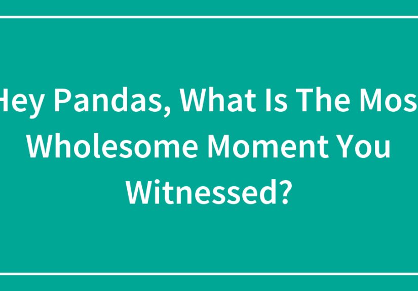 Hey Pandas, What Is The Most Wholesome Moment You Witnessed?