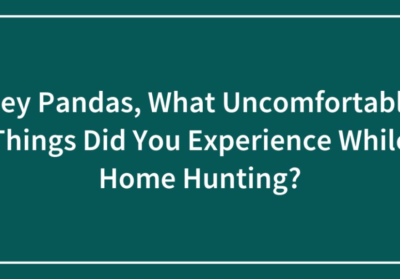 Hey Pandas, What Uncomfortable Things Did You Experience While Home Hunting? (Closed)