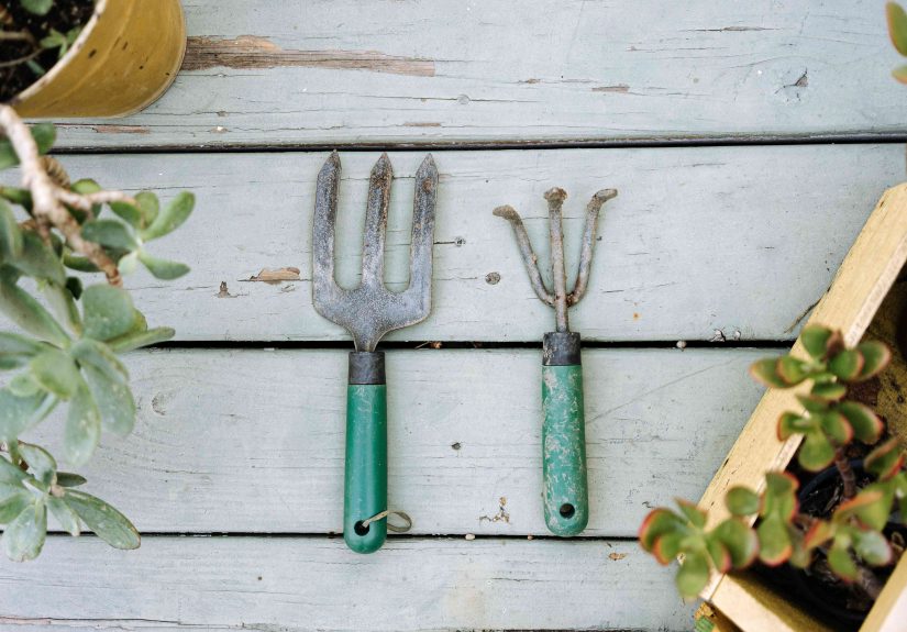 How to Clean Garden Tools
