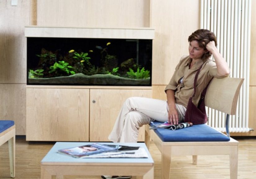 How to Install a Check Valve in a Fish Aquarium