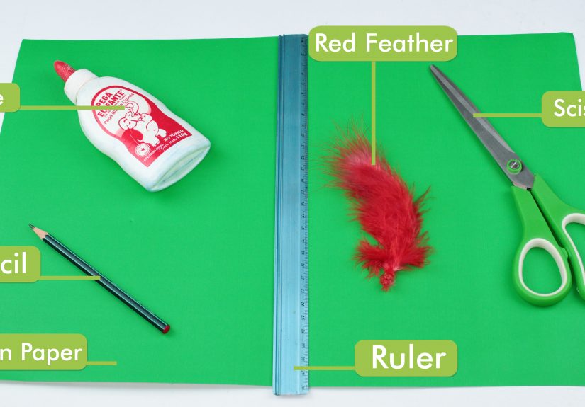 How to Make a Peter Pan Hat: 15 Steps