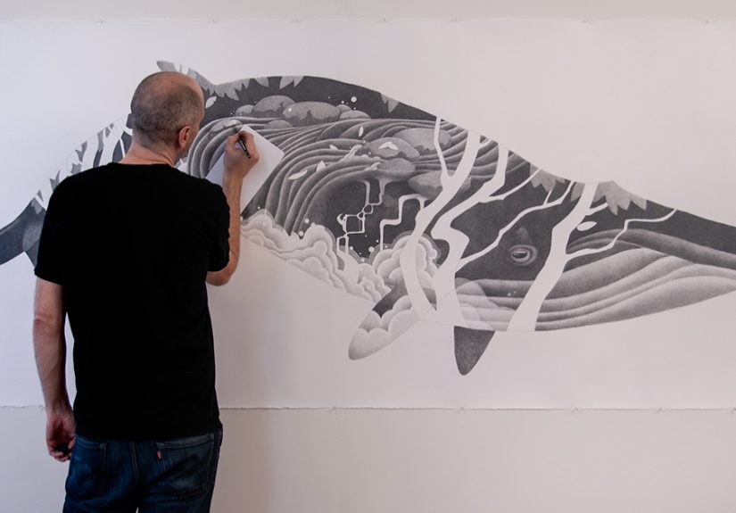 I Create Large-Scale Whale Drawings Using Hundreds Of Pencils As An Ode To My West Coast Home