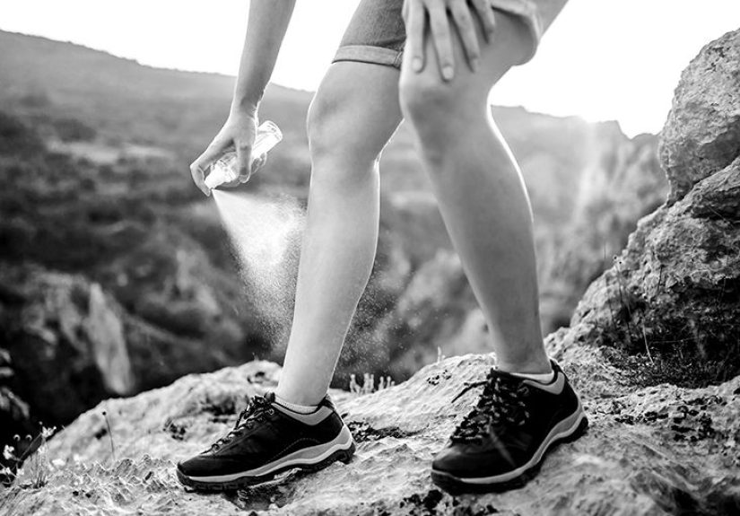 Natural Insect Repellents: 10 to Try and More