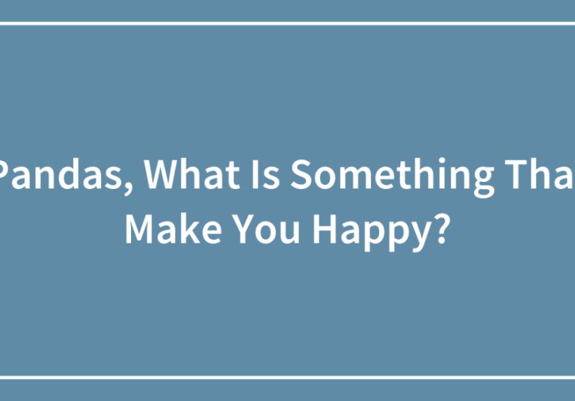 Pandas, What Is Something That Make You Happy?