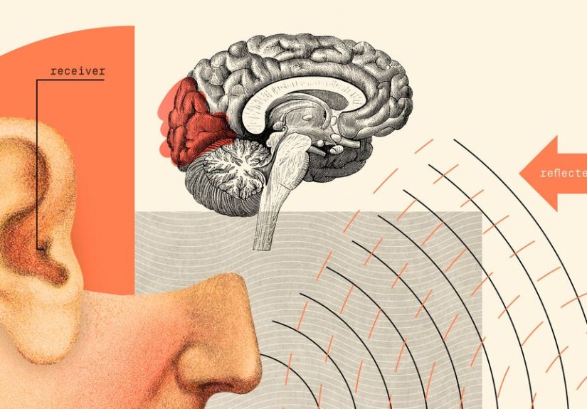 Scientists Prove Humans Could Develop a Sixth Sense: Echolocation