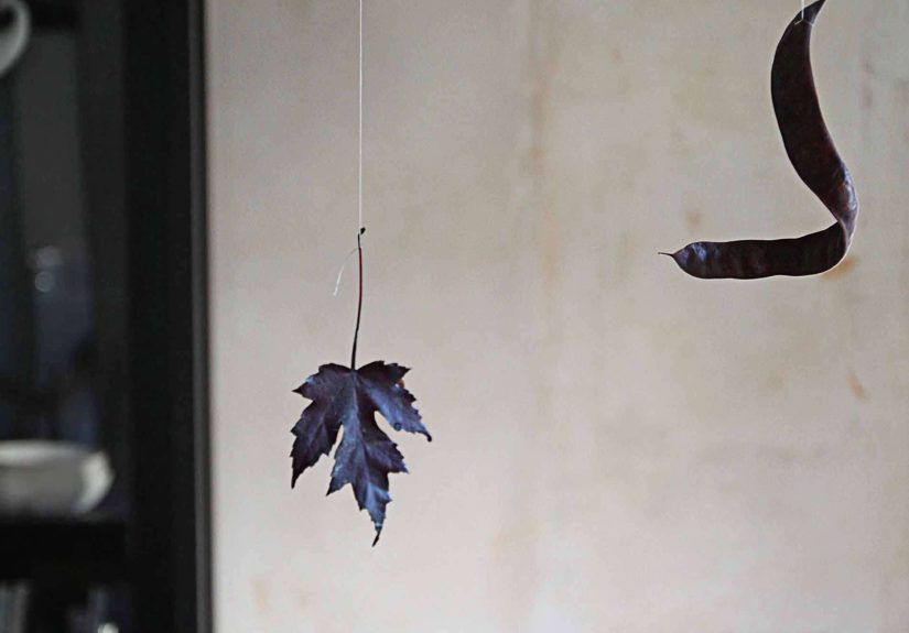 Table of Contents: Nightshade