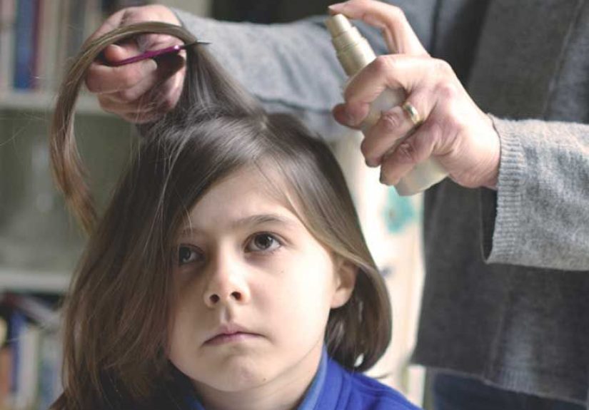 Tea Tree Oil Treatment for Lice: Does It Work?