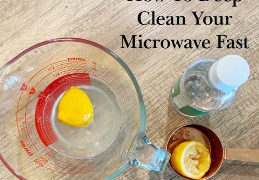 The Best DIY Microwave Cleaner