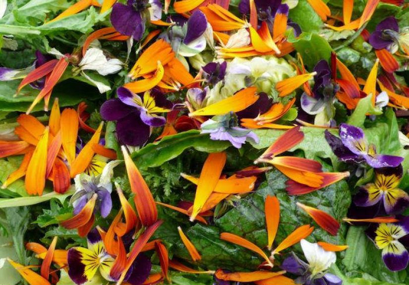 The English Garden: Edible Florals