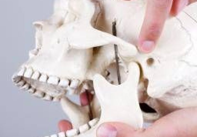 TMJ disorders: Causes, symptoms, and relief