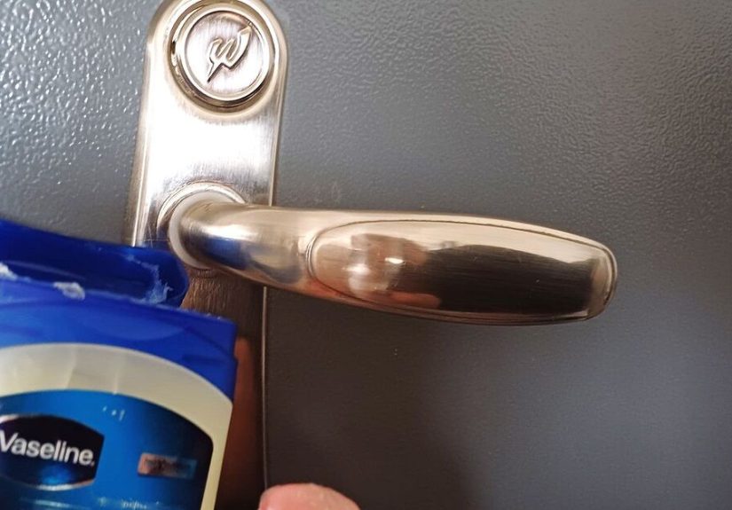 Vaseline & Sugar Trap: How to Keep Pests at Bay the Natural Way