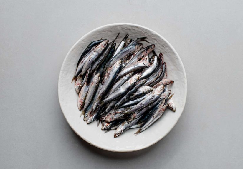 What Type of Fish Are Anchovies?