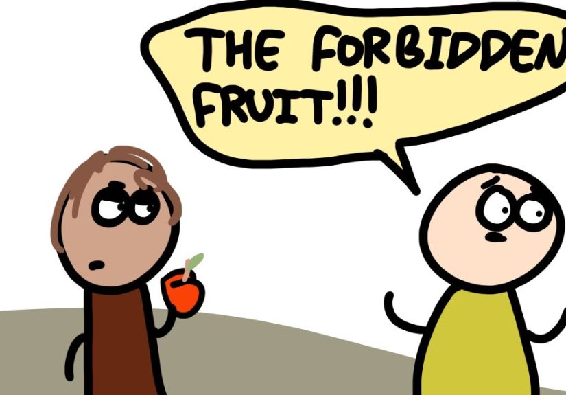 “Why An Apple A Day Keeps The Doctor Away?”: Here Are 11 Of My Favorite Answers