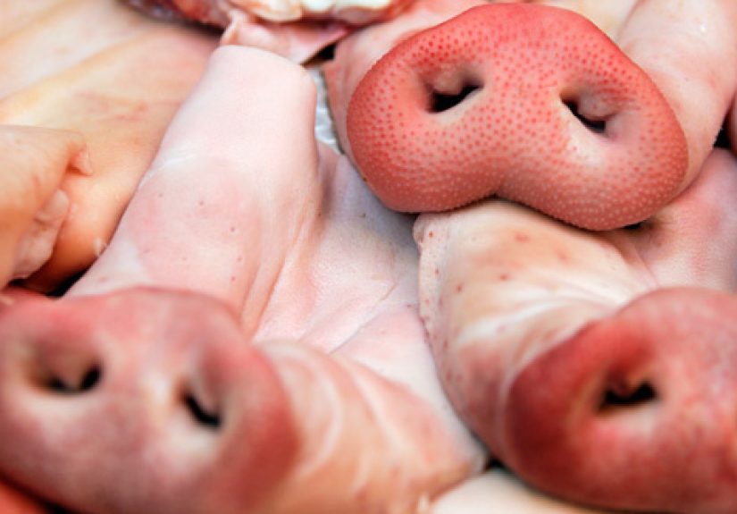 10 Of The Strangest Items Governments Are Stockpiling