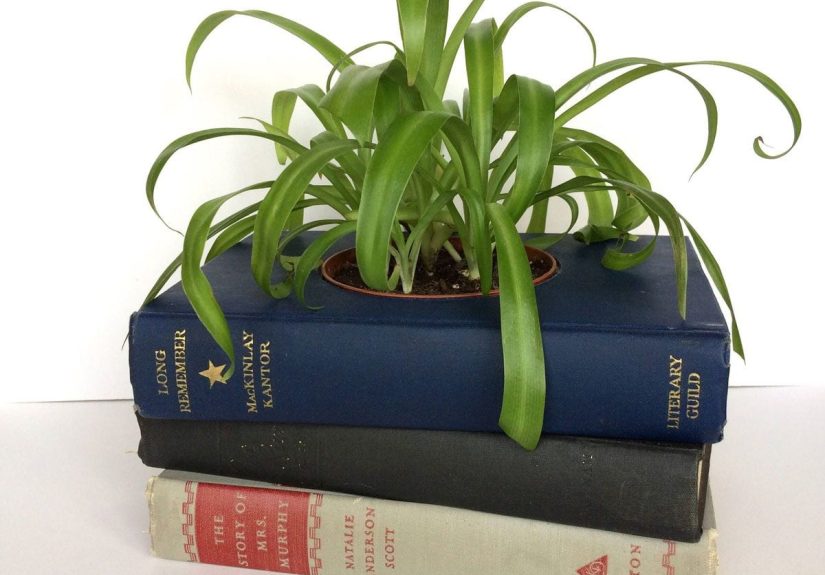 15 Brilliant Ways to Repurpose a Pile of Old Books: Crafts with Old Books