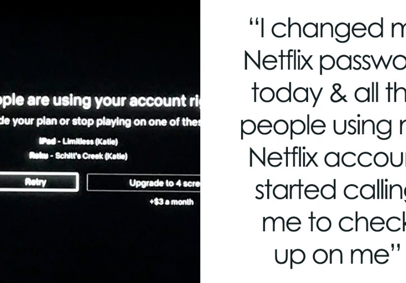 25 Times Annoying People Tried Leeching Someone Else’s Netflix And Got What They Deserved