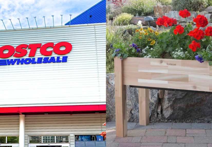 Costco Is Selling a Raised Garden Bed That Waters Itself