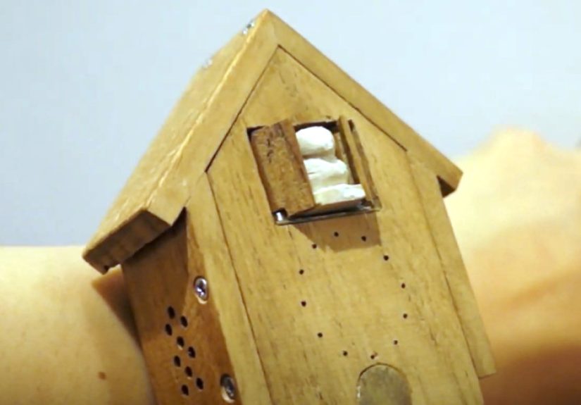 Do Wristwatches Get Any Better Than A Cuckoo Clock?