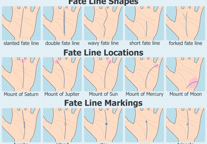 Fate Line Palm Reading: Interpret Your Career & Finances