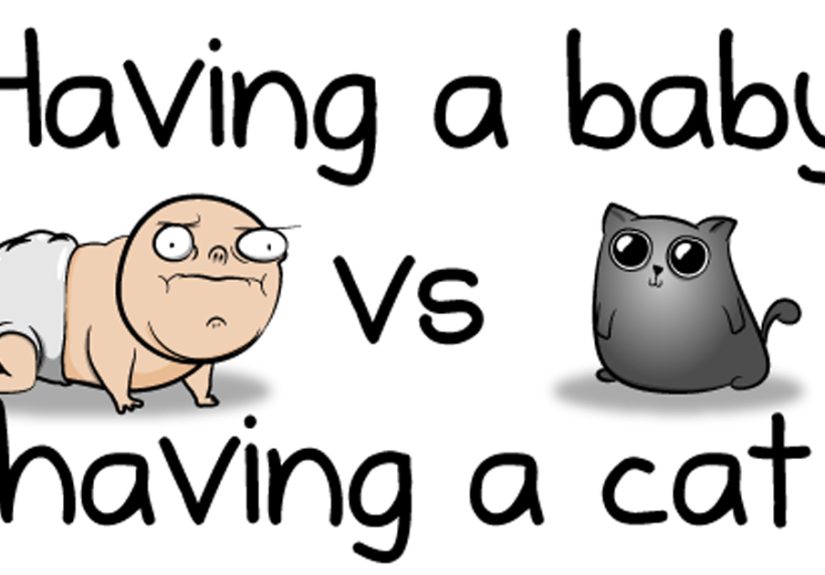 Having A Baby VS Having A Cat (9 Pics)