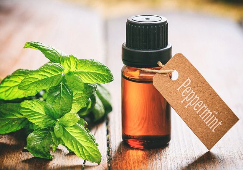 Herbs for Endometriosis and Other Alternative Treatments